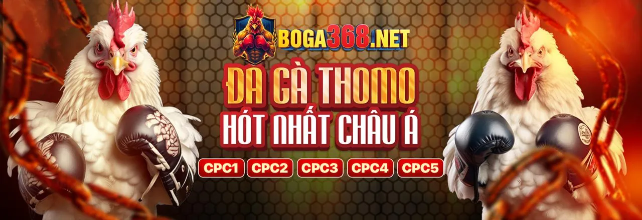 Chương trình VIP 44win55 Đăng Nhập 2026